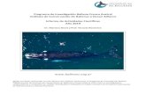 Programa de Investigación Ballena Franca Austral Instituto ......Programa de Investigación Ballena Franca Austral Instituto de Conservación de Ballenas y Ocean Alliance Informe
