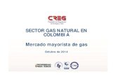 SECTOR GAS NATURAL EN COLOMBIA Mercado mayorista de …...subasta. Mercado secundario Mercado Participantes Secundario Modalidades de contratos Negociación directa Procesos úselo