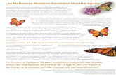 Las Mariposas Monarca Necesitan Nuestra Ayuda...Las mariposas representan renacimiento, cambio, transformación y esperanza. Para muchas culturas indígenas mexicanas, las monarcas