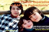 “Los Padres Separados el SAP y la Padrectomía” · 2011. 4. 1. · Consiste en asumir (por los padres, la sociedad, las leyes y quienes las administran) que la autoridad, responsabilidad,