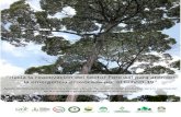 Hacia la reactivación del Sector Forestal para atender la … · 2020. 6. 19. · 0 “Hacia la reactivación del Sector Forestal para atender la emergencia provocada por el COVID-19”
