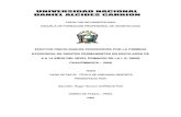 EFECTOS PSICOLOGICOS PRODUCIDOS POR LA PRIMERA EXODONCIA DE …cop.org.pe/bib/tesis/ROGERHOMEROCORNEJOPAZ.pdf · 2012. 6. 20. · 5.2.- TÉCNICAS DE RECOLECCION DE DATOS: - Observación