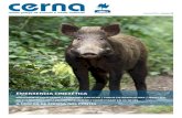 EMERXENCIA CINEXÉTICAadega.gal/web/media/documentos/Cerna_82_19_BAIXA.pdf · 2020. 4. 10. · de “emerxencia cinexética” para o xabaril, que ademais crea riscos inne-cesarios