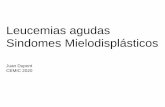 Leucemias agudas Sindomes Mielodisplásticos · 2020. 7. 29. · Leucemias agudas Sindomes Mielodisplásticos Juan Dupont CEMIC 2020 . LA’s. Definición y epidemiologìa: • Proliferación