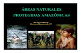 ÁREAS NATURALES PROTEGIDAS AMAZÓNICAS...MARCO LEGAL E INSTITUCIONAL DE LAS ÁREAS NATURALES PROTEGIDAS El Sistema Nacional de Áreas Naturales Protegidas por el Estado - SINANPE