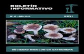 BOLETÍN INFORMATIVOmicoex.org/.../uploads/2018/01/Boletin-informativo-2015.pdf · 2018. 1. 25. · Boletín informativo n.º 15, - año 2015 - XXVI Sociedad Micológica Extremeña