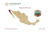 Baja California - Gob · 2020. 10. 20. · Nacional Baja California Periodo 19,702,192 922,535 Septiembre 2020 Tasa de Desocupación (por ciento) 1/ 2.9 2.3 Marzo 2020 Conflictividad