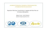 Aspectos Técnicos, Económicos y Legales del Gas Plus en ......Ensayos Orientados al Shale Gas (gas en lutitas) Apache Argentina posee 380,000 acres en la ventana de gas prospectiva