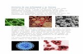 josedalejandro.files.wordpress.com · Web viewLas barreras terciarias son todas las células que son de protección específica, como los linfocitos T y linfocitos B. Lo que ocurre