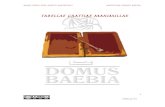 Tabella VII - Domus Baebia- A continuació agafem la plastilina i, amb l'ajuda d'un corró, l’ aplanem dins de l'interior dels marcs. - Per a acabar fem uns forats en tots dos marcs