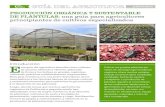 PRODUCCIÓN ORGÁNICA Y SUSTENTABLE DE ...as-de...PRODUCCIÓN ORGÁNICA Y SUSTENTABLE DE PLÁNTULAS: una guía para agricultores principiantes de cultivos especializados Introducción