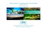 Resumen Ambiental Nacional Ambiental... · 2017. 4. 18. · resumen ambiental nacional para mexico 3 abril 2013 indice resumen ambiental nacional para mexico resumen ejecutivo 1 indice