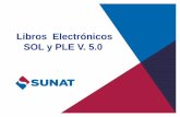 Libros Electrónicos SOL y PLE V. 5 · 2017. 2. 10. · Normativa vigente de los Sistemas de Libros Electrónicos (SLE): PLE y PORTAL Sujetos obligados a llevar LibrosElectrónicos