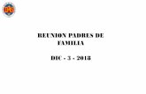 REUNION PADRES DE FAMILIA DIC - 3 - 2018 · 2018. 12. 4. · Desempeño superior Desempeño alto Desempeño básico Desempeño bajo 104 15,7% 378 57,1% 178 26,9% 2 0,3% 117 18,7%