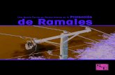 Protección de Ramales - S & C Electric...Quemar Fusibles Cualquier falla — permanente o temporal— causa que el fusible del ramal opere, resultando en un viaje costoso de camiones