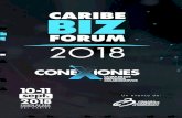 brochure 14 CBF - Caribe BIZ Forum...CEO & fundadora de WikiMujeres, organización que nace como un grupo en Facebook de mujeres empoderadas y gracias a su impacto se transforma en