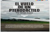 EL VUELO DE UN PTERODÁCTILOpsb.premiosimonbolivar.com/uploads/1490390357.pdf · de 2007, una foto del mismo aparato fue publicada en los medios cuando sufrió un accidente al aterrizar