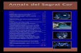 Annals del Sagrat CorAnnals del Sagrat Cor, fundats el 1993 pel Dr. Josep Maria Puigdollers Colás Amb el suport de l’associació professional de metges i titulats superior de l’Aliança