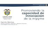 Promoviendo la capacidad de innovación - OAS · 2012. 9. 18. · Camilo Montes Director de Micro, Pequeña y Mediana Empresa cmontes@mincomercio.gov.co. Tendencias Sociales ©MailoMou.