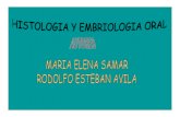 1- Histología: Biología celular y tejidos. Samar M.E ... · 1- Histología: Biología celular y tejidos. Samar M.E., Avila R., Pons P. y col. 2003. ISBN 987-43-6782-2 2- Anatomía,