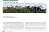 CULTIVO DE SOJA · 2017. 7. 6. · 32 Revista INIA - Nº 30 Cultivos El cultivo de soja ha experimentado un drástico creci-miento en los últimos 10 años, pasando de algo menos