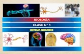 Sistema Nervioso, coordinación y adaptación...2020/04/02  · Sistema Nervioso, Organización y Función 5 Sistema Nervioso •Todos los seres vivos se relacionan con su medio ambiente,