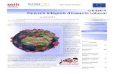 ORIENTA Itineraris Integrals d'Inserció Laboralorienta.usoib.es/wp-content/uploads/2020/08/BOLETIN... · 2020. 8. 27. · ORIENTA Itineraris Integrals d'Inserció Laboral Programa