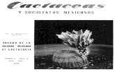 Y SUCULENTAS MEXICANAS - cactuspro...Cactáceas y Suculentas Mexicanas. — Órgano de la Sociedad Mexicana de Cactología A.C. — Director. Dr. Jorge Meyrán. 2a. Juárez 14. Colonia