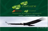 Reserva ecológica Antisana - Nature Experience · 2017. 9. 12. · Reserva ecológica Antisana V.1 - 10 sep. 2017 ..... Precio por persona (en USD): 95.00usd* *En base a 15 participantes
