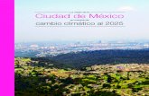 Ciudad de México - Secretaría del Medio Ambiente · 2018. 2. 20. · Ciudad de México, al ser la tercera aglomeración urbana más grande a nivel mundial, ha asumido compromisos