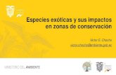 Especies exóticas y sus impactos en zonas de conservación...Victor E. Chocho victor.chocho@ambiente.gob.ec. Número de especies exóticas presentes en áreas protegidas en 2015.