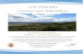 LOS YÉBENES Cercano por Naturalezaturismo.losyebenes.es/images/2020/gt.pdf · LOS YÉBENES Cercano por Naturaleza BIEVENIDOS A LOS YÉBENES ENTRADA A LOS MONTES DE TOLEDO Nuestro