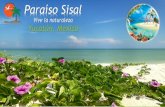 Vive la naturaleza Yucatán, México...Igual que en la época prehispánica, el Puerto de Sisal tuvo importancia comercial y política durante la Colonia. Aquí se comerció algodón,