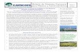 Boletín de Noticias Camcore para México y Centroamérica ......Página 2 Boletín de Noticias Camcore para México y Centroamérica Carta del Director del programa Camcore El Dr.