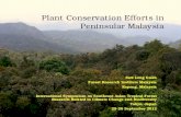 Plant Conservation Efforts in Peninsular Malaysia · 2019. 11. 11. · (Keruing Padi) • Peninsular Malaysia and South Kalimantan (Marabahan District) • Restricted to freshwater