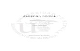 Apuntes elaborados por - Universidad de Sevillaeuclides.us.es/da/apuntes/ali/2008-09/algebra_lineal_08_09.pdfALGEBRA LINEAL JUAN GONZ´ ALEZ-MENESES´ 1 Tema 1. Matrices. Determinantes.