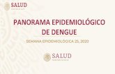 PANORAMA EPIDEMIOLÓGICO DE DENGUEanhp.org.mx/archivoseventos/2-Panorama-Nacional-Dengue...Fuente: SINAVE/DGE/SALUD/Sistema de Vigilancia Epidemiológica de Dengue; *Acceso a la semana