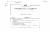 Sitio Oficial SCEstudio sobre la Caracterización de la Agroindustria Arrocera y sus Condiciones de Competencia en El Salvador INFORME DE RESULTADOS Antiguo Cuscatlán, abril de 2009