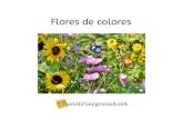 Hay flores de muchos colores....Y estas flores son amarillas con el centro negro. ¡Hay muchas flores de muchos colores! sr1ishP1ayground.net Title flowers ebook Created Date 4/7/2019