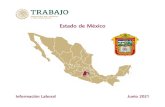 Estado de México - Gobsiel.stps.gob.mx:304/.../perfil_estado_de_mexico.pdf · 2021. 1. 20. · ESTADO DE MÉXICO EN EL CONTEXTO LABORAL NACIONAL Concepto Trabajadores Asegurados