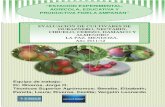 “ESTACIÓN EXPERIMENTAL AGRÍCOLA, EDUCATIVA Y …...El cultivo de frutales de carozo (duraznero, ciruelo, nectarin, almendro, damasco y cerezo) ofrece una alternativa interesante