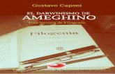 Gustavo Caponi - El darwinismo de Ameghino: una lectura de ... · El darwinismo de Ameghino Nacido allí el 18 de septiembre 18549, Ameghino fue el primer hombre de ciencia argentino