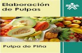 Pulpa de Piña by Sistema de Bibliotecas Sena is licensed...Teniendo en cuenta la variedad de frutas que se producen en nuestro país, encontramos que una de las más exquisitas y