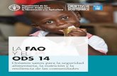 La FAO y el ODS 147 LA FAO Y EL ODS 14 f La FAO es agencia “custodia” de los indicadores 14.4.1, 14.6.1, 14.7.1 y 14.b.1 del ODS 14 y, en total, se encarga de 21 indicadores de