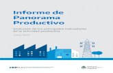 Informe de Panorama Productivo - Argentina.gob.ar · 2020. 6. 18. · En todo el país,salvo en el AMBA, la industria manufacturera estáplenamente habilitada para producir. De este