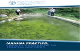 Manual Práctico de Cultivo de Trucha Arcoíris · Temperatura (`C) 13 a 18 15 pH 6,5 a 8,5 7 Dentro de estos parámetros, la temperatura del agua es muy importante porque regula