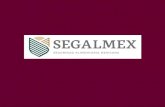 Seguridad Alimentaria Mexicana - CMDRS...2019/04/17  · Comité de Seguridad Alimentaria Mundial Principal plataforma internacional e intergubernamental para la colaboración de todas