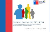 Seguro Social Ley N° 16744 - Hospital Claudio Vicuña DE RIESGOS.pdf · SEGURO SOCIAL LEY N° 16.744 Contra Riesgos de Accidentes del Trabajo y Enfermedades Profesionales CC Prevención