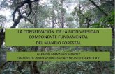 LA CONSERVACIÓN DE LA BIODIVERSIDAD ......La guía se basa en las Directrices OIMT/UICN para la conservación y utilización sostenible de la biodiversidad en los bosques productores