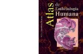 Atlas de Embriología Humana...Atlas de Embriología Humana 5 Agradecemos al Doctor en Ciencias Horacio Grillo Ravelo, que realizó con maes-tría el trabajo fotográfico; al Doctor